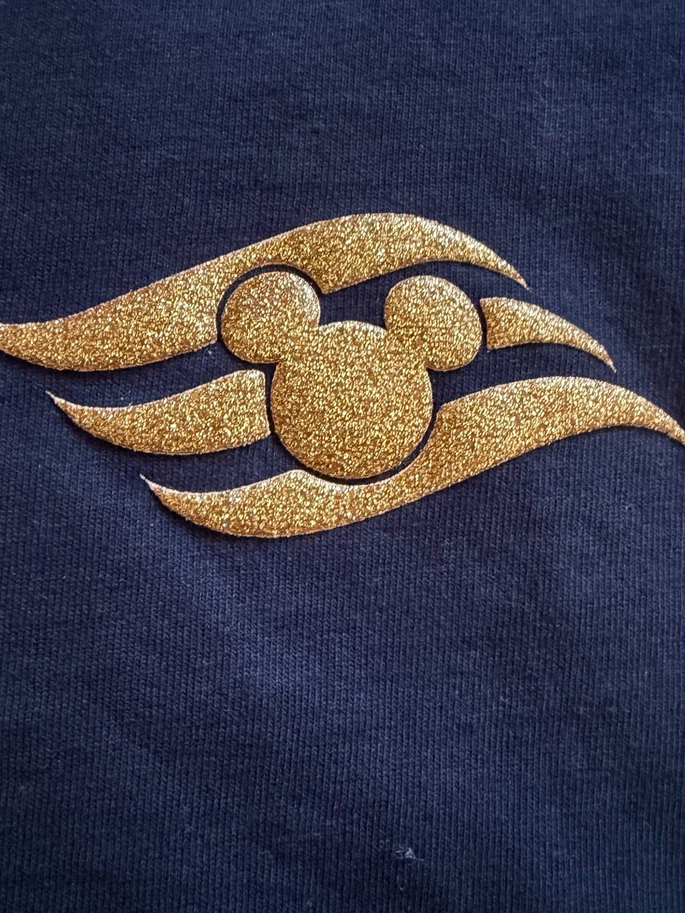Disney Cruise Line Spirit Jersey Size L